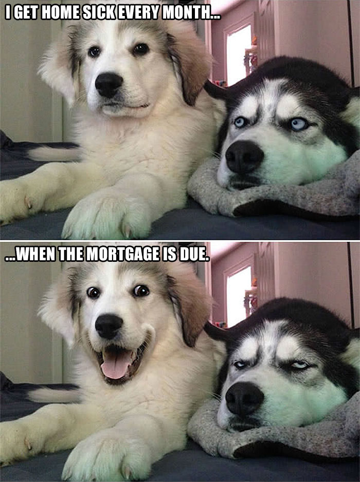 The Worst One Liners Ever Told Real Estate Version